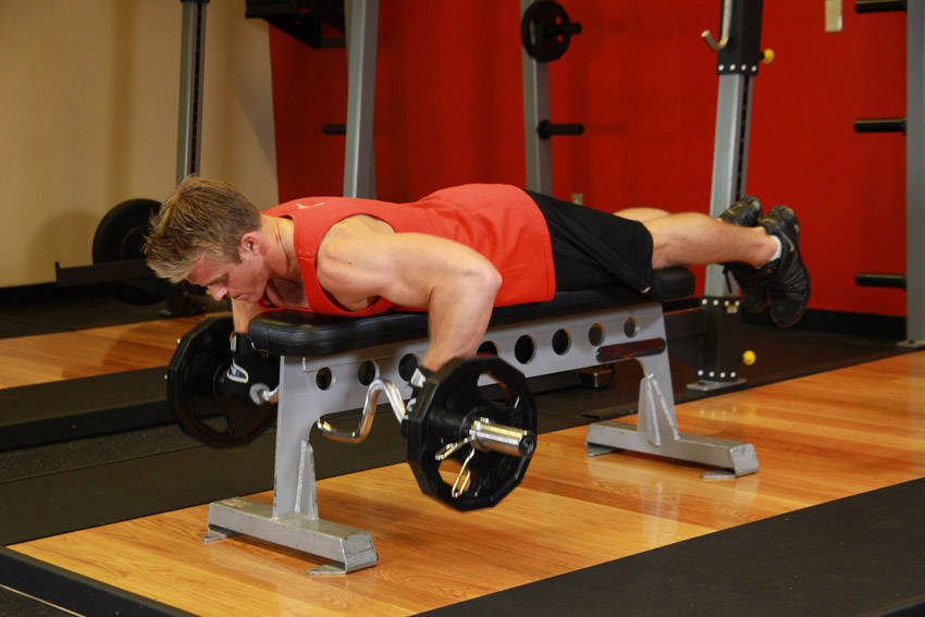 Lying Cambered Barbell Row