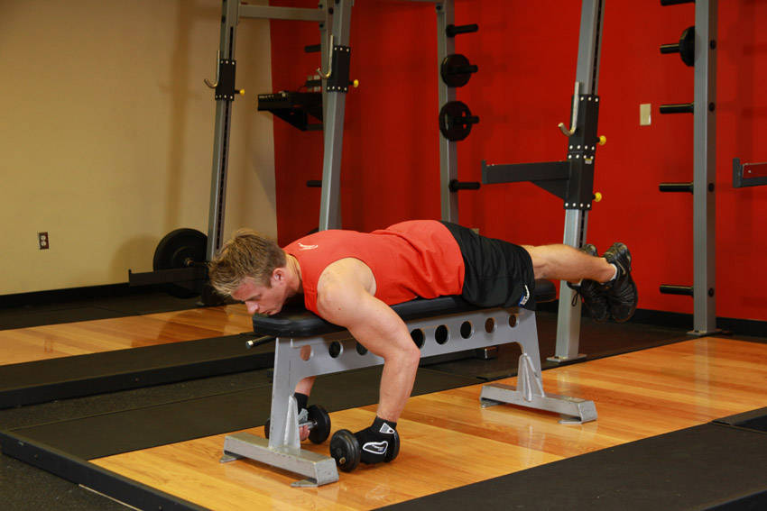 Lying Rear Delt Raise