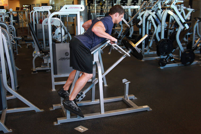 Lying T-Bar Row