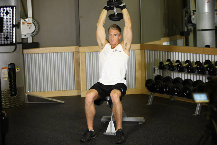 Seated Triceps Press (Machine)