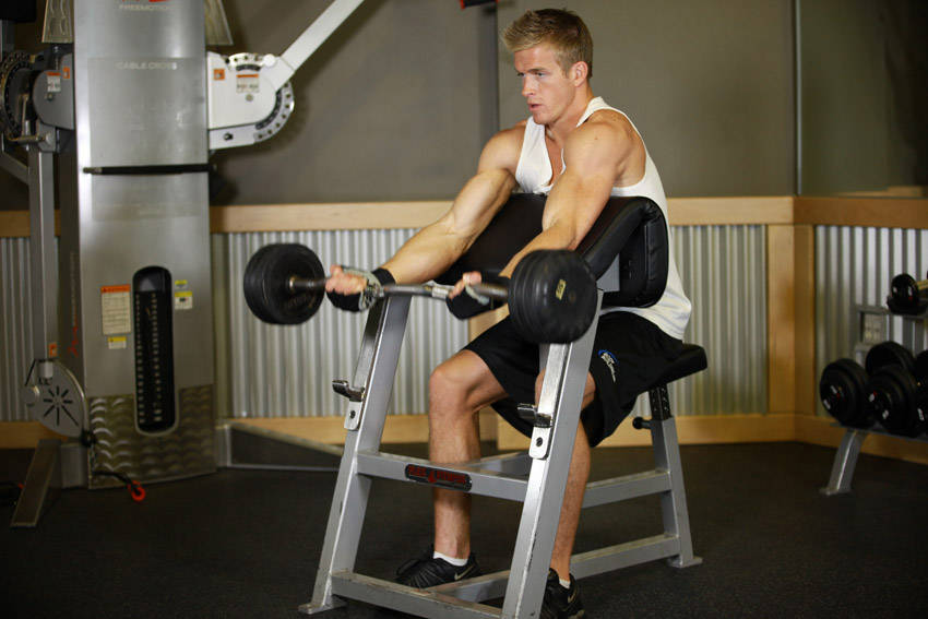 Preacher Curl (Barbell)