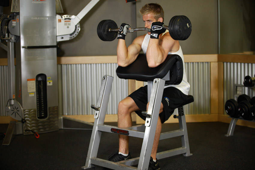 Preacher Curl (Barbell)
