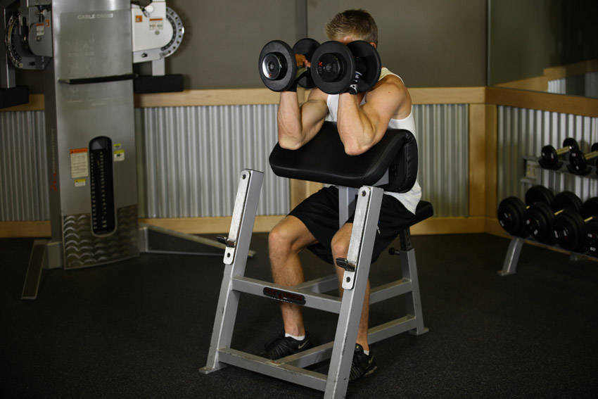 Preacher Hammer Dumbbell Curl