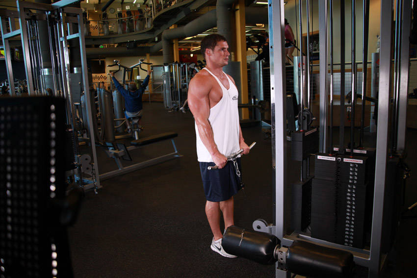 Reverse Cable Curl