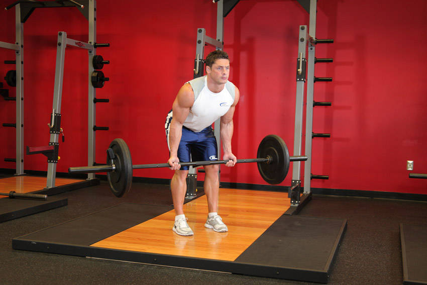 Bent-Over Row Reverse-Grip (Barbell)
