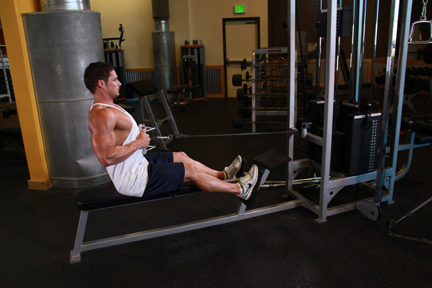 Seated Cable Rows