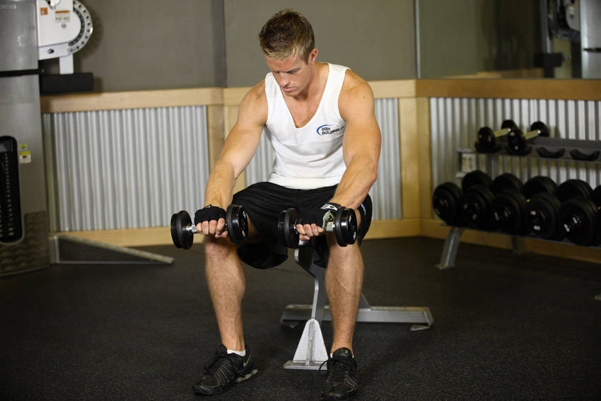 Seated Dumbbell Palms-Down Wrist Curl
