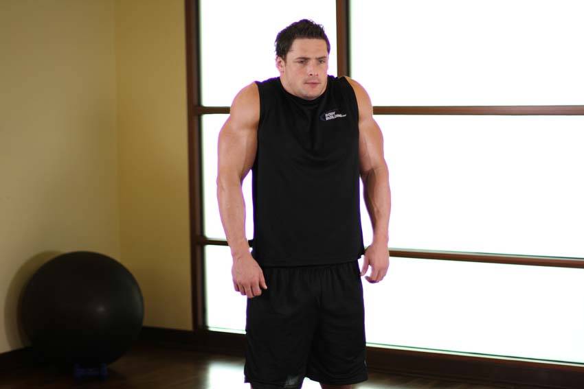 Shoulder Raise