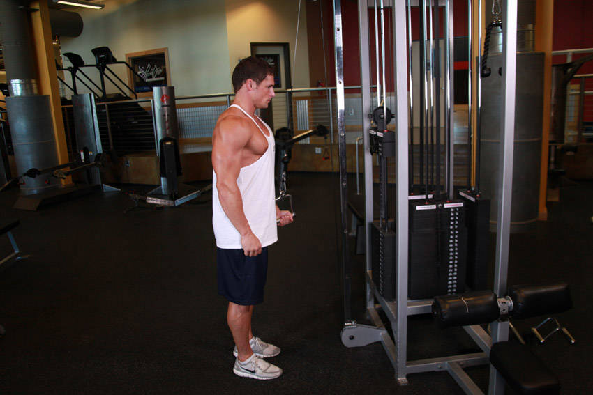 Single-Arm Triceps Pushdown (Cable)