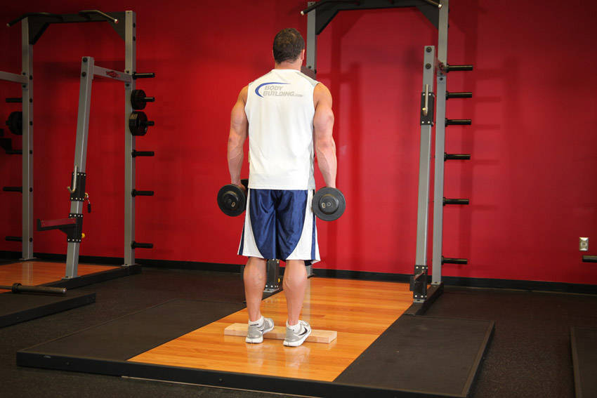 Standing Calf Raise (Dumbbell)