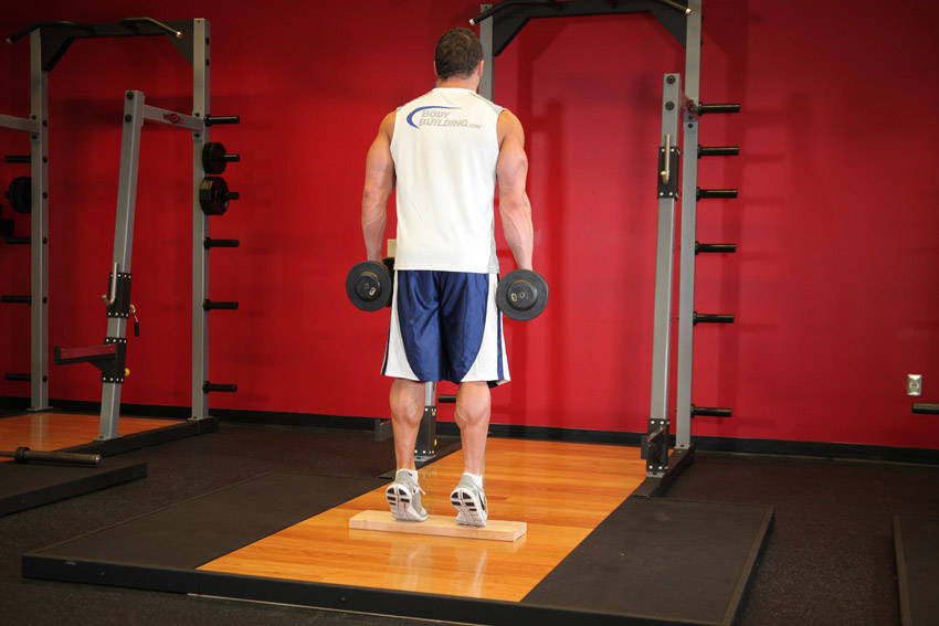 Standing Calf Raise (Dumbbell)
