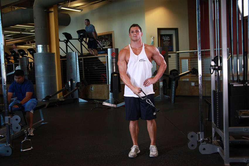 Standing Low-Pulley Deltoid Raise