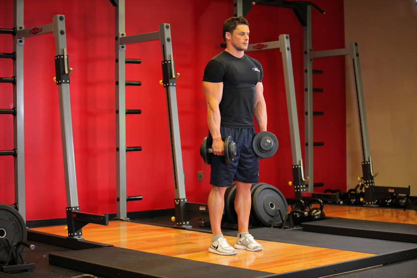 Stiff-Legged Deadlift (Dumbbell)